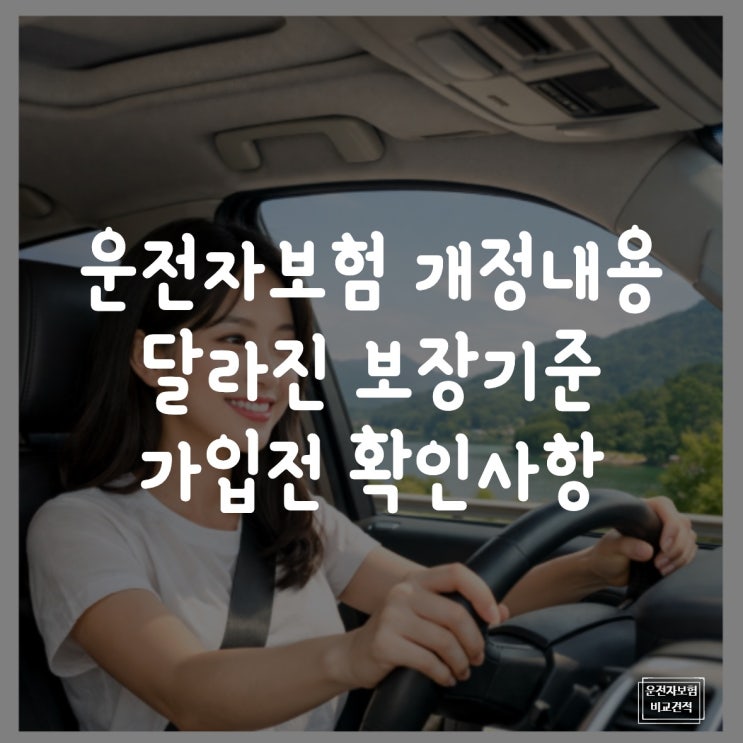 운전자보험 개정내용 달라진 보장 기준과 가입 전 확인사항