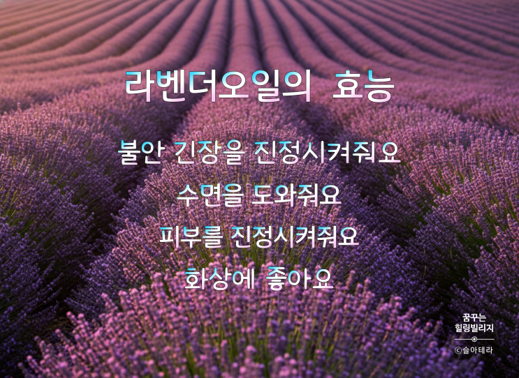  도테라 라벤더오일을 활용한 향기수업 두번째 이야기