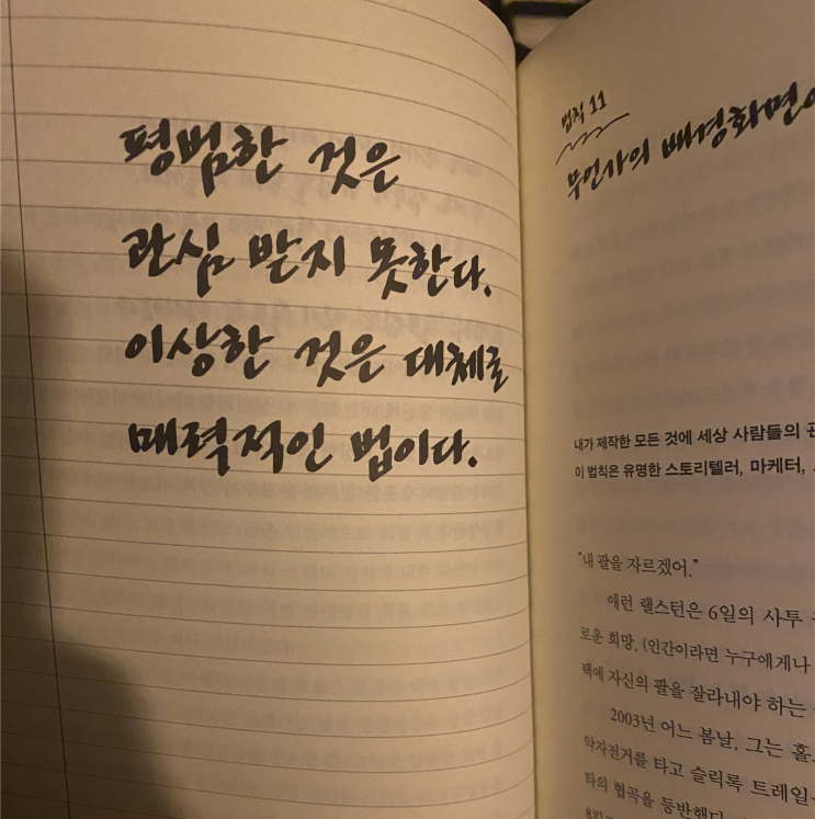  이상한 것은 대체로 매력적이다.