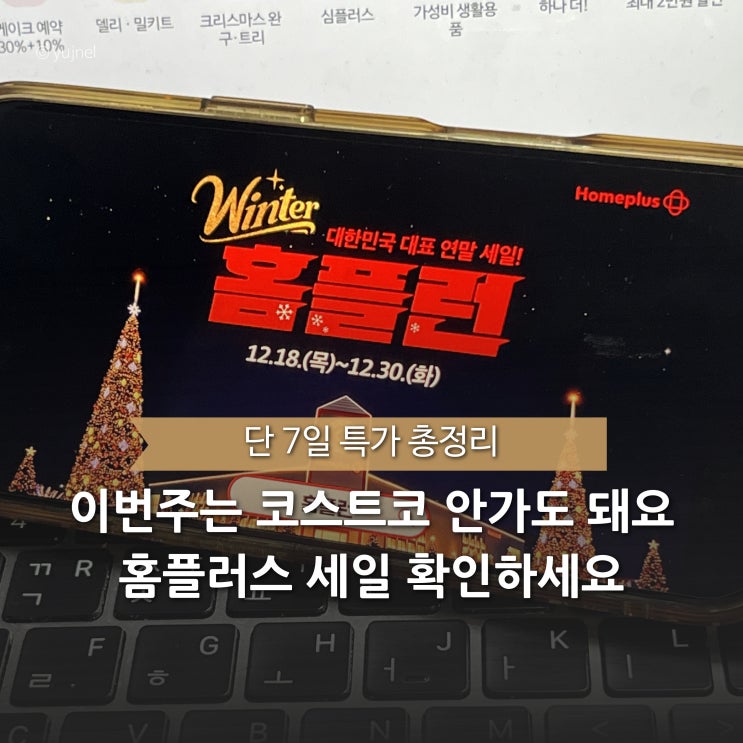  오늘부터 홈플런 세일 시작! 홈플러스 전단지로 연말 홈파티 준비 끝내세요