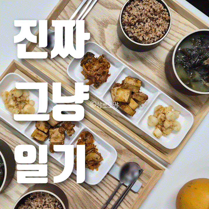  진짜 그냥 일기 | 소소한 일상, 일기