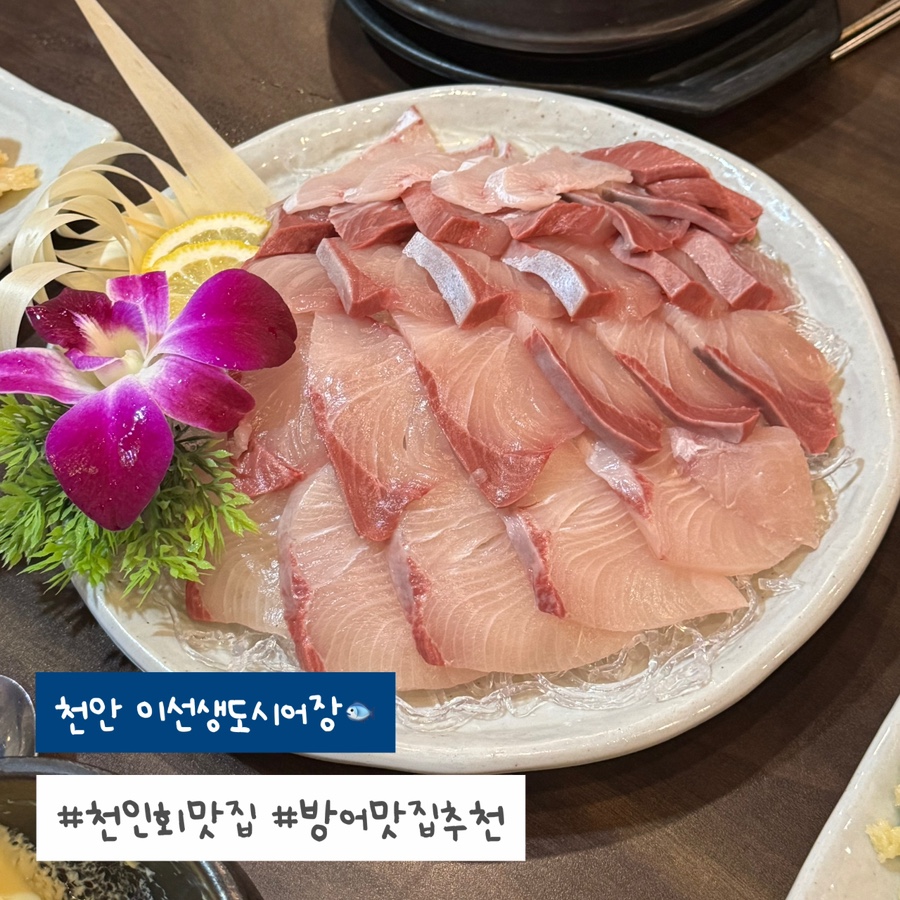 이선생도시어장 사진 1