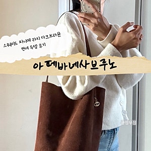 [내돈내산] 아떼바네사브루노 스웨이드 파니에 라지 다크브라운 면세 득템 후기