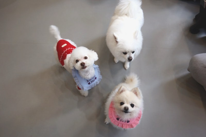 사진 3