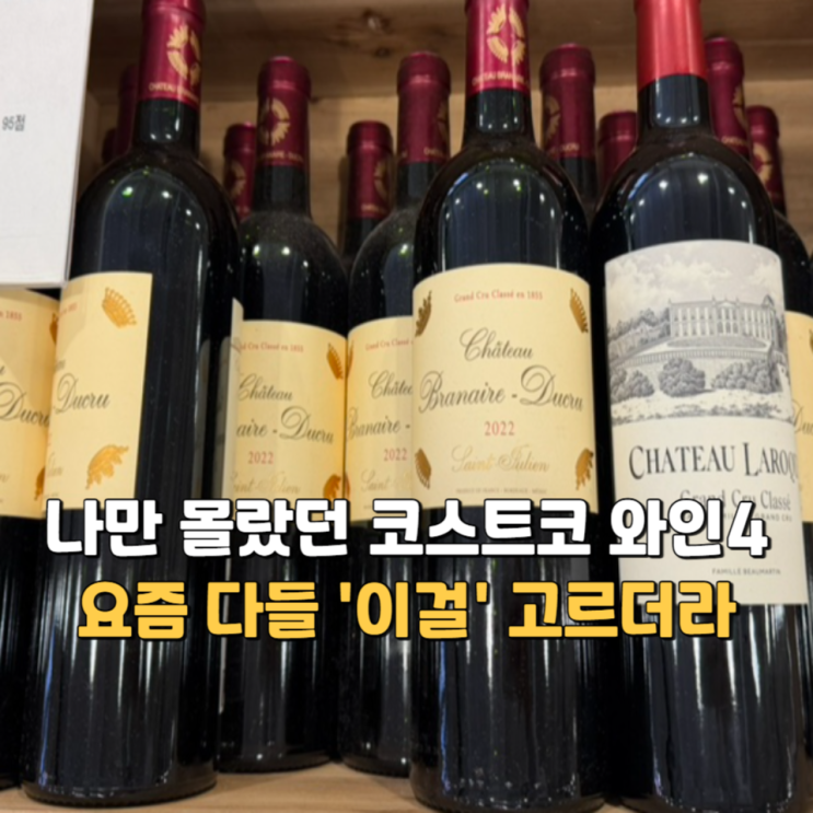  코스트코 와인, 다들 '이걸' 고르는 이유를 알게 됐습니다