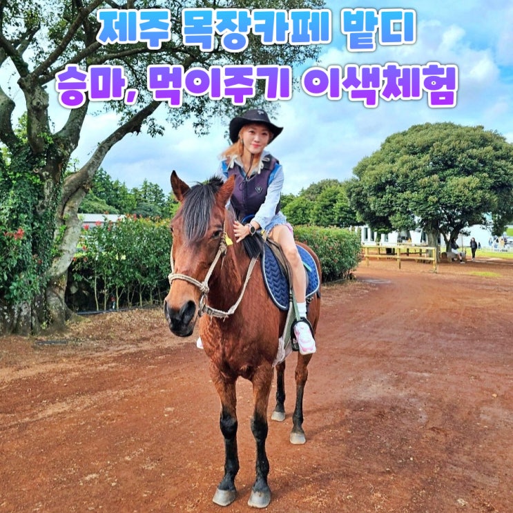  목장카페 밭디 서귀포 가볼만한곳 제주목장카페 승마체험 후기