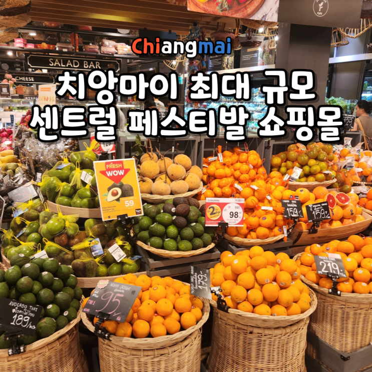  센트럴 페스티발 치앙마이 위치 영업시간 층별 안내 마야 몰보다 큰 쇼핑몰