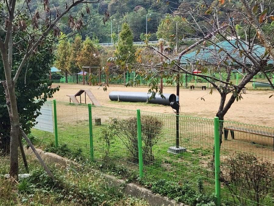 삼성산농원 사진 4