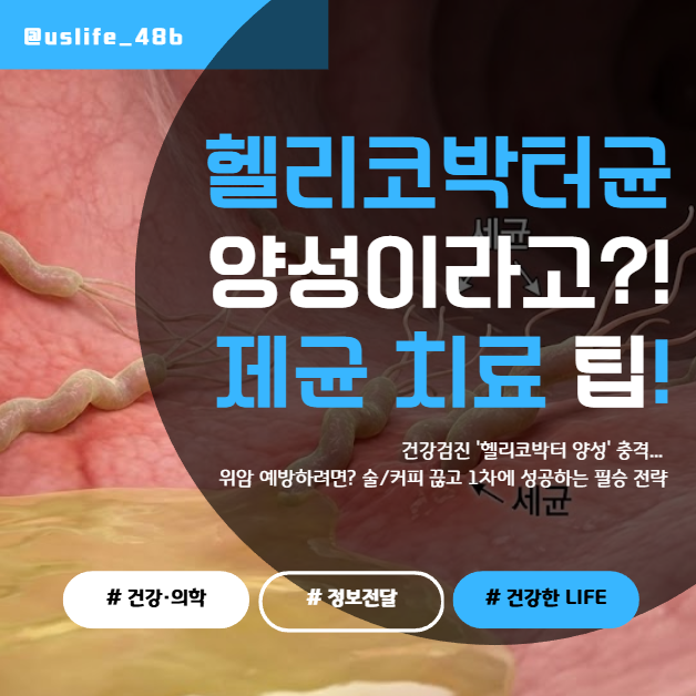 헬리코박터균 제균 치료, 2주 만에 끝내는 법! 약 부작용(쓴맛, 설사) 잡는 꿀팁과 금기 식품