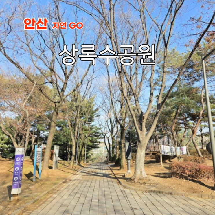  안산 주말 나들이 갈만한곳 상록수공원 산책 코스