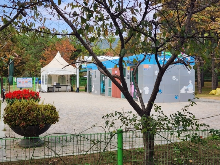  서울근교 강아지 산책로 삼막 애견공원 능이오리백숙 맛집 삼성산농원