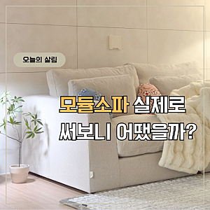 데일리리빙 포레스트 4인 소파 실제로 써보니 어땠을까