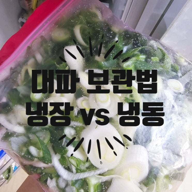  대파 보관법 냉장보관 vs 냉동보관 / 효능 알아보기