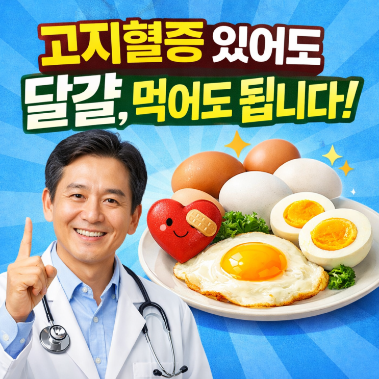  고지혈증이면 달걀 먹으면 안 될까?｜최신 기준으로 다시 정리