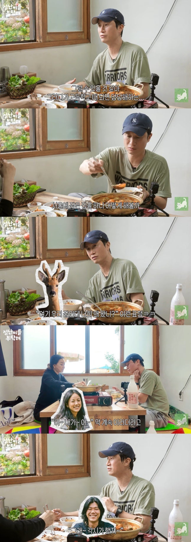이효리♥이상순은 떠났는데…'이웃' 송새벽, 13년째 제주살이 "마당에 노루 있어"