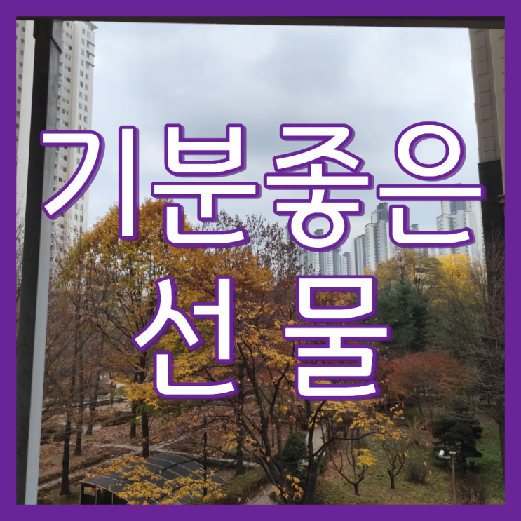  광명 아파트 창문 거실 이중창 청소 비용 및 업체 소개(두산위브트레지움)