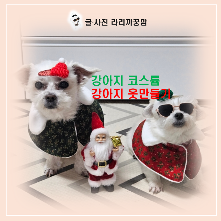  세상에 단 하나뿐인 크리스마스 '강아지 코스튬' 만들기: 직접 그린 도안으로 정성 가득하게!