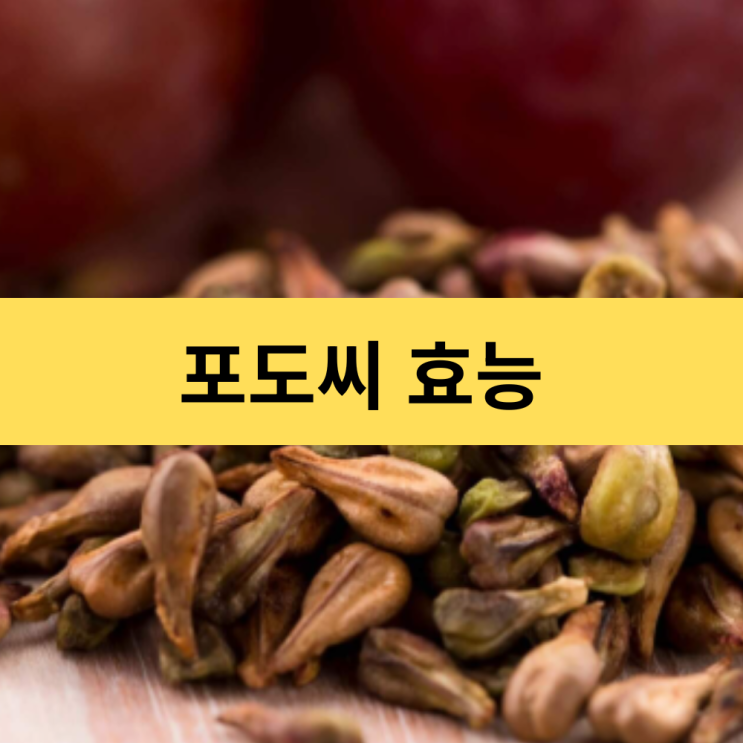  포도씨 효능 | 포도씨 속 항산화 에너지와 혈관 건강의 비밀