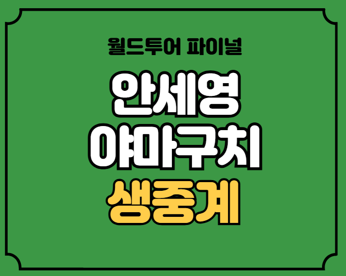 <b>안세영 야마구치</b> 경기일정 bwf 월드투어 파이널 중계 3차전... 