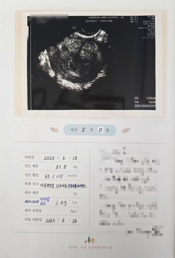  1. 태아 성장 과정, 주수별 변화 정리