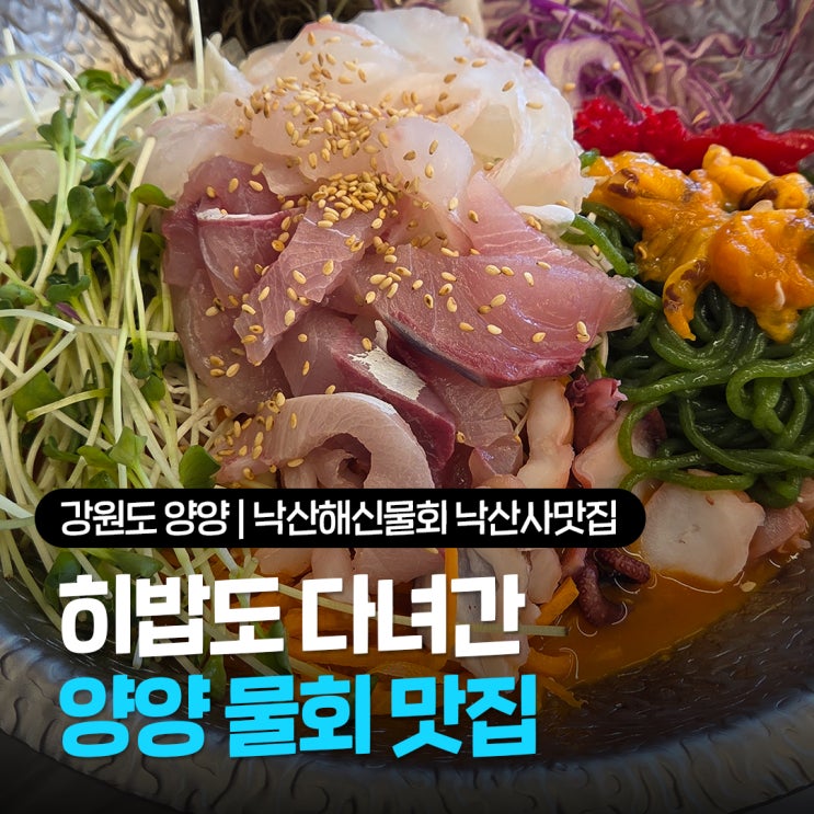  강원도 양양 낙산해수욕장 맛집 추천, 히밥도 다녀간 낙산해신물회 직접 발견한 내돈내산 후기