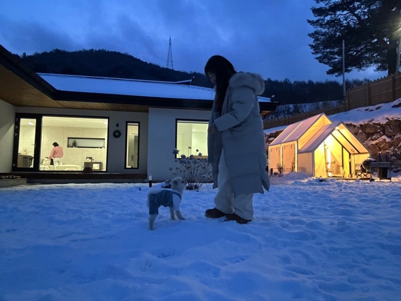 사진 3