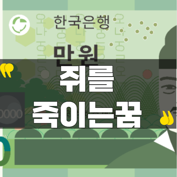쥐를죽이는꿈 뜻과 재물운 변화 신호