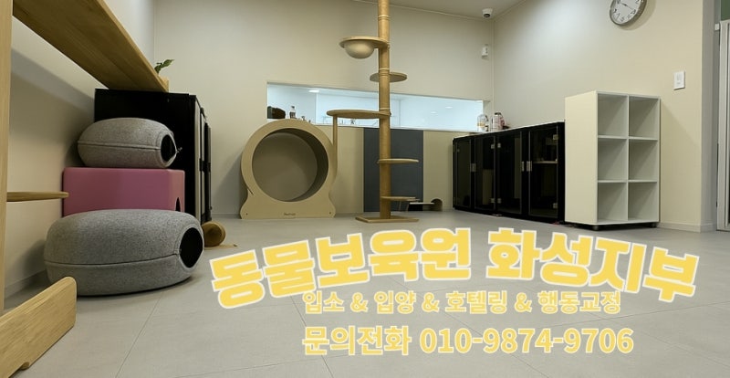 사진 3