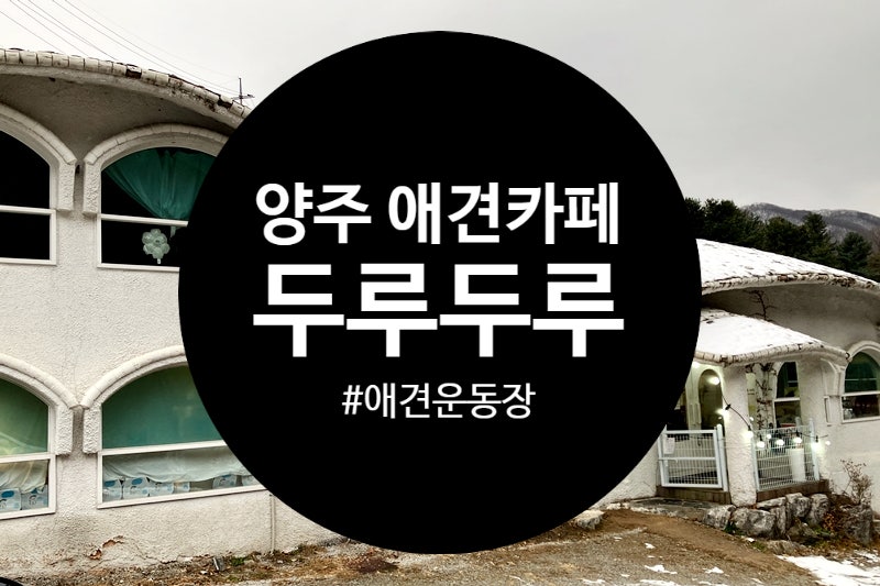 사진 6