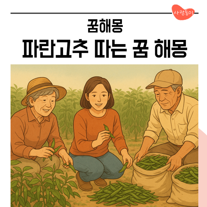 파란고추를 따는 꿈 해몽, 여자아이 딸 태몽일까?고추태몽 후기