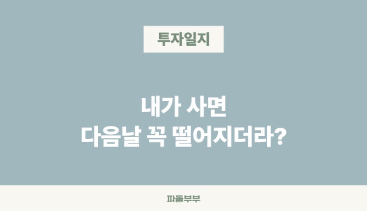  내가 사면 꼭 주가 떨어지더라?