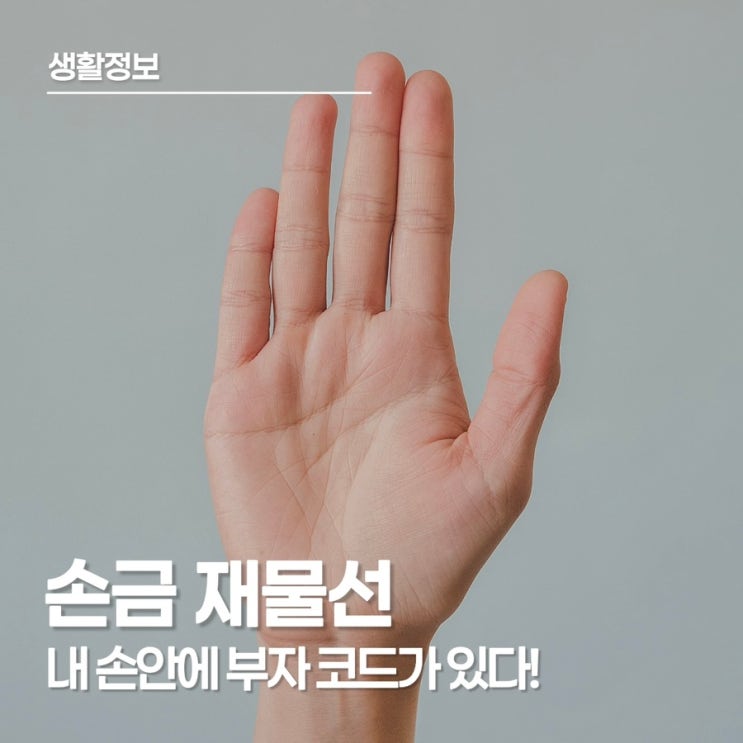  손금 재물선 보는 법, 내 손금 속 숨겨진 재물코드는? 부자 되는 신호는 따로 있다!