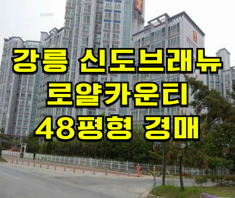강릉 경포대 신도브래뉴로얄카운티 아파트 경매 송정동 신도브래뉴로얄카운티 아파트 매매 ....