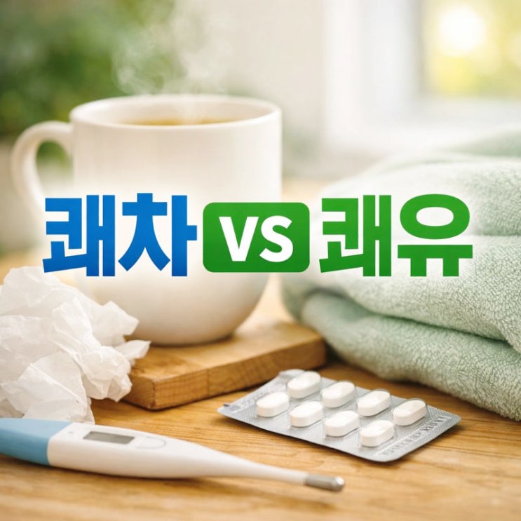  쾌차하세요 쾌유하세요 뭐가 맞을까? 뜻 차이 완벽 정리