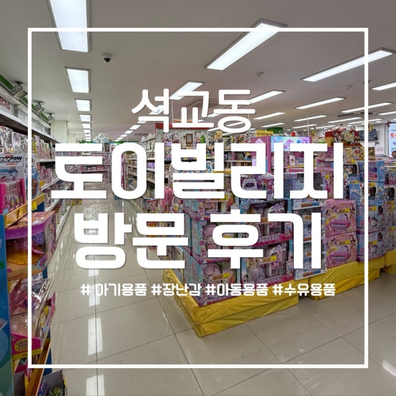 대전 석교동 장난감 백화점 토이빌리지 방문 후기 (중구통, 대전사랑카드 사용 가능)