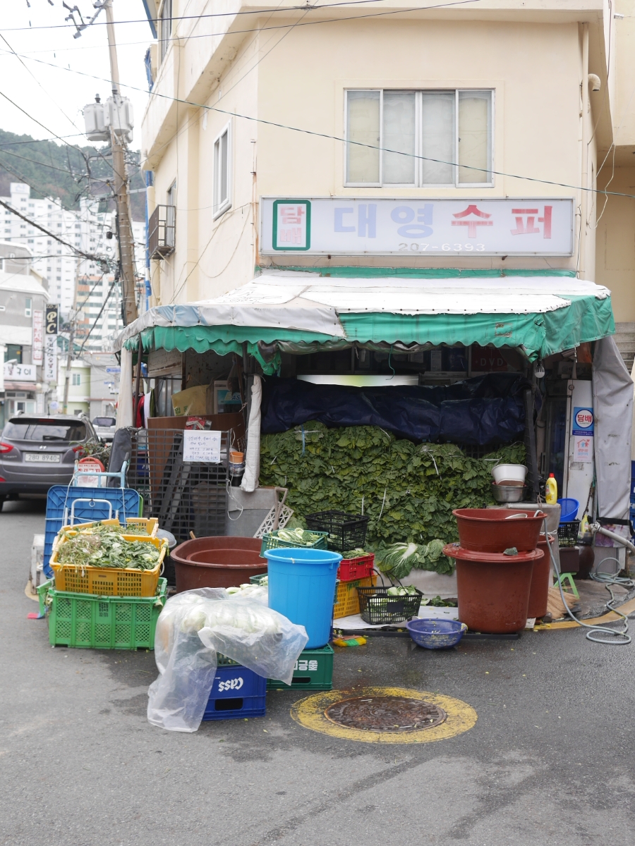 하동집 사진 3