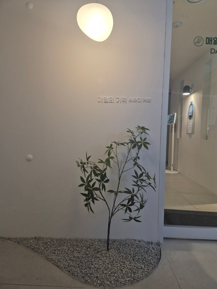  압구정 스터디카페, 집에선 1시간도 힘들죠? 여기선 '평균 4시간'이 기본/청담동 스터디카페/신사동 스터디카페