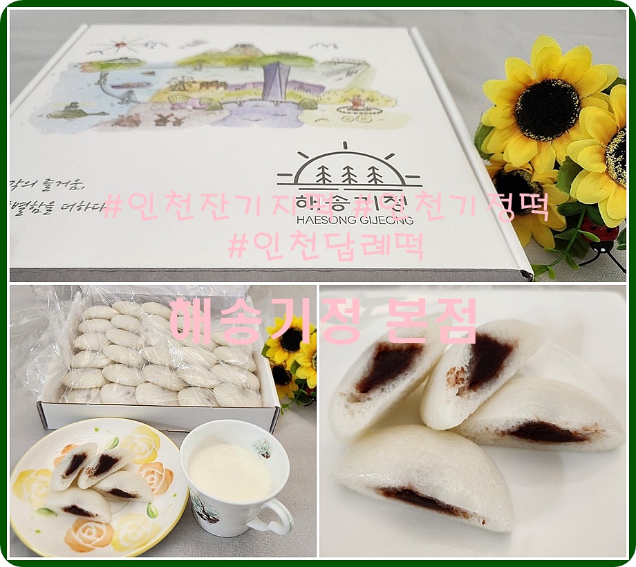 해송기정 사진 1