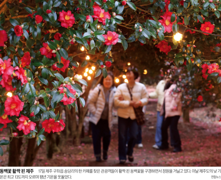 계약논란/<b>쿠팡</b>4조과징금 폭탄<b>위기</b>美선늑장 공시<b>집단소송</b>... 