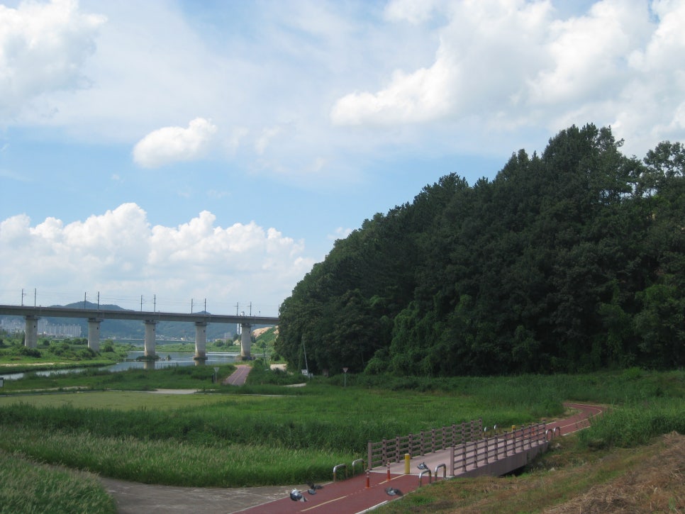 샛골 사진 1