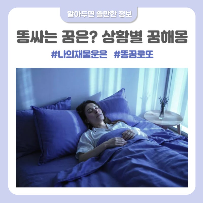 똥싸는 꿈은? 돈 들어오는 재물꿈 꿈해몽 똥꿈 총정리