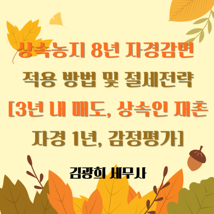  상속농지 8년 자경감면 적용 방법 및 절세전략[3년 내 매도, 상속인 재촌 자경 1년, 감정평가]