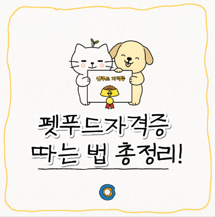  펫푸드 자격증 따는 법 총정리! 무경력도 가능한 단기 합격 노하우!