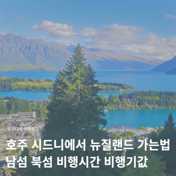  호주 시드니에서 뉴질랜드 가는 법, 남섬 북섬 비행시간 비행기값 할인 예약 꿀팁!