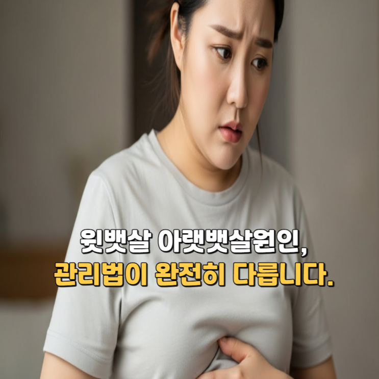  윗뱃살 아랫뱃살원인, 관리법이 완전히 다릅니다.