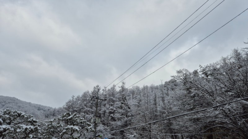 경기도광주펜션 자연과 함께하는 힐링여행지 드리밍하우스펜션 여행