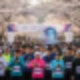 경주벚꽃마라톤 서버다운, 작년 대비 3배 폭주 (재접수 일정 확정)