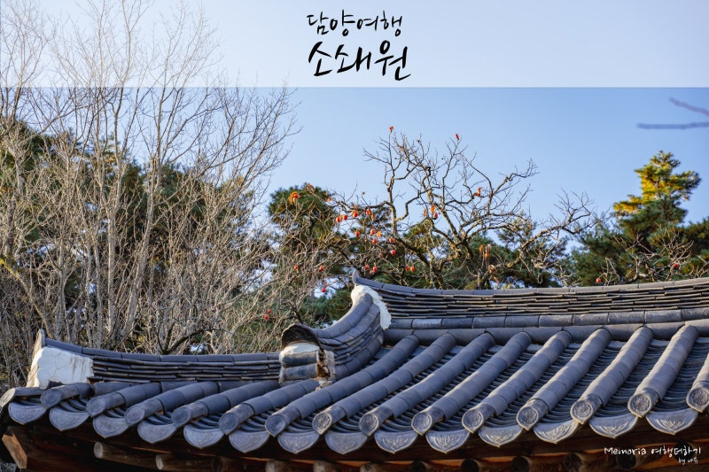 사진 9