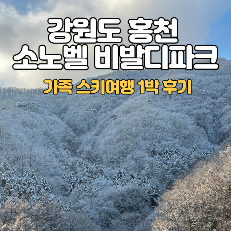 소노벨 비발디파크C _ 가족여행 숙소 후기 :: 체크인부터 객실·부대시설