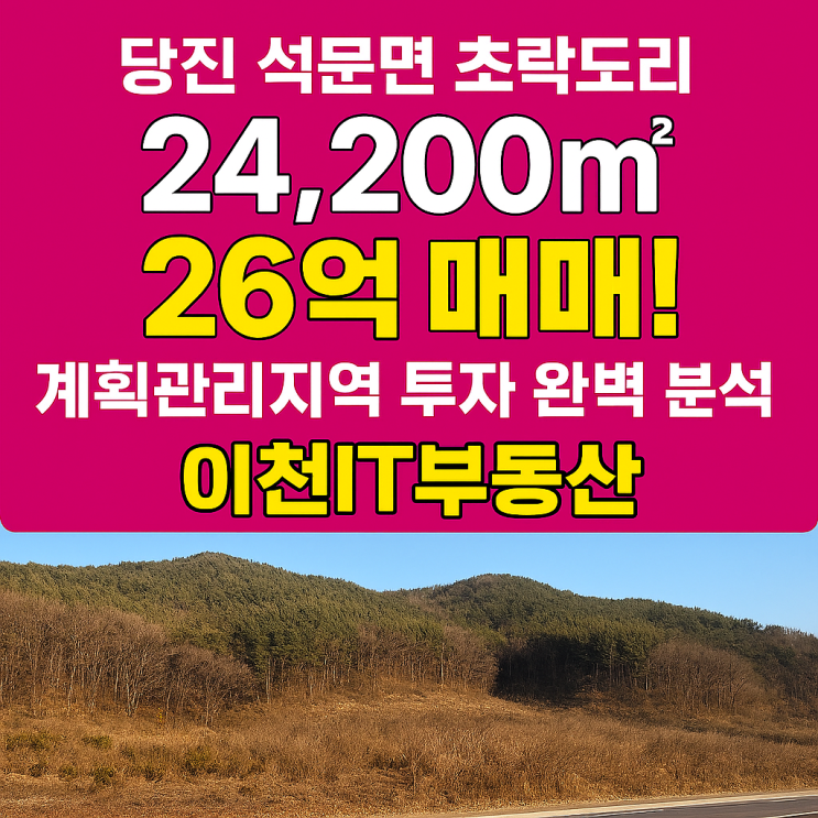  충남 당진 석문면 초락도리 24,200 대규모 임야 26억 매매